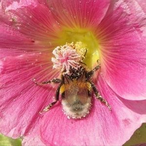 Meet your Posher, Anji